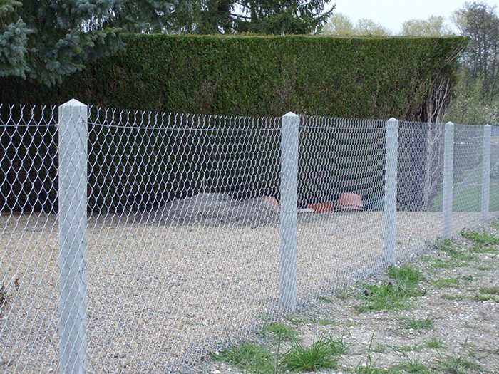 36599564_2278388699092045_101597979667857408_n